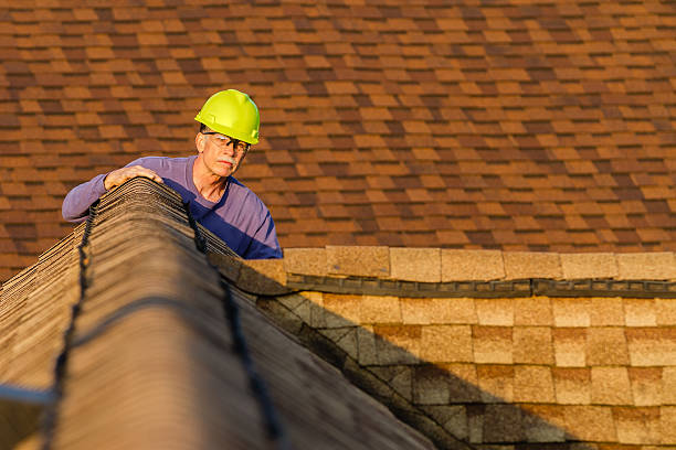 Best Roof Gutter Cleaning  in Cuero, TX